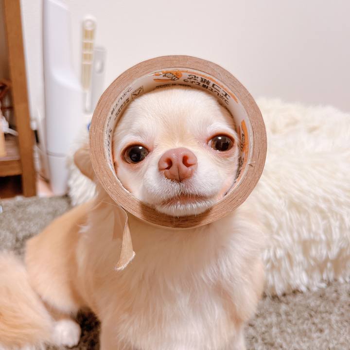 21a1dc01 38ba 4958 a07d 837c42ccc020 1659609857717