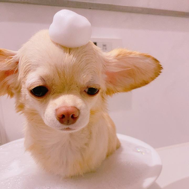 21a1ddec 7610 4dec 9ff6 86808907ad69 1629167731010