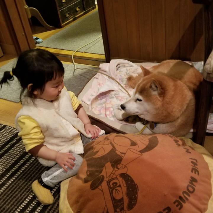 21a22279 6d20 40db 8714 24db25c53242 1641805181831