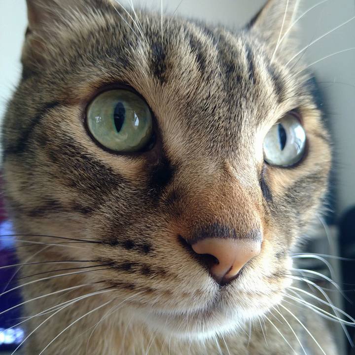 21a2440c d867 4400 9da3 f3e0d2ad7f35 1719619579988