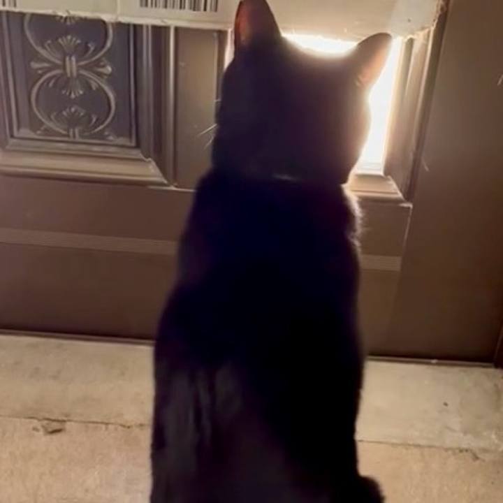 21a2554d 2b69 41fa 86fb 77733b9ad3ad 1743991712221