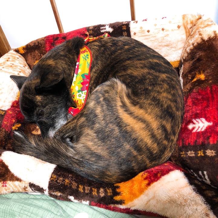 21a2c721 9343 4b43 bedd 04023d0a5ca6 1577233897421