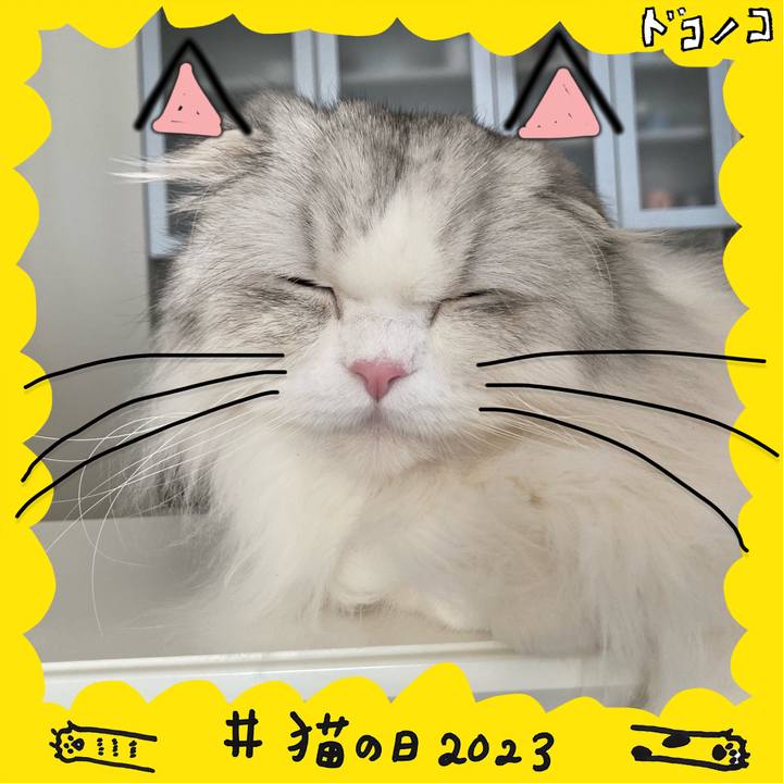 21a2ecfe b9ff 4c32 bc19 1ba485d0c388 1677060394837