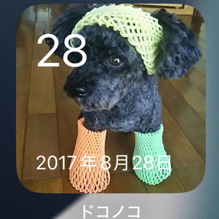 21a2efe1 f21b 477a 91d2 298343ce93e4 1756369208884