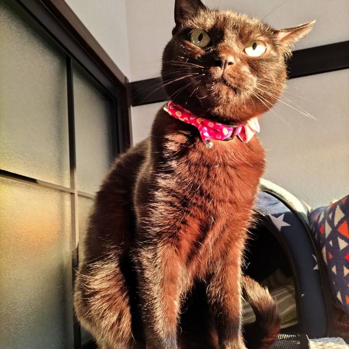 21a30c65 afe0 4775 874f fcbd68e43aaf 1645481261360