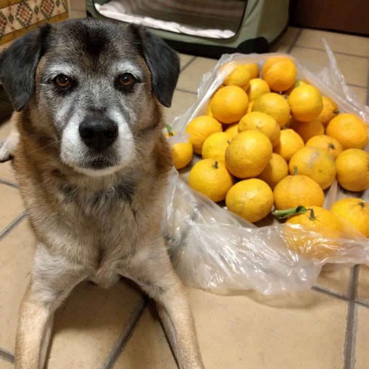 21a3243f 773e 47e1 82d9 dba2d4ed6a4e 1515410089904