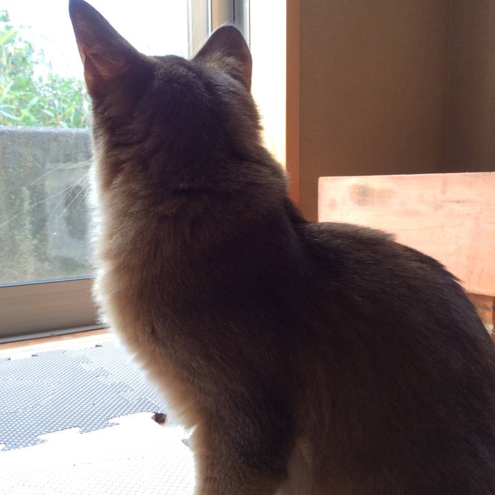 21a32508 d3da 4f11 be76 3d06642fb3fe 1574638430513