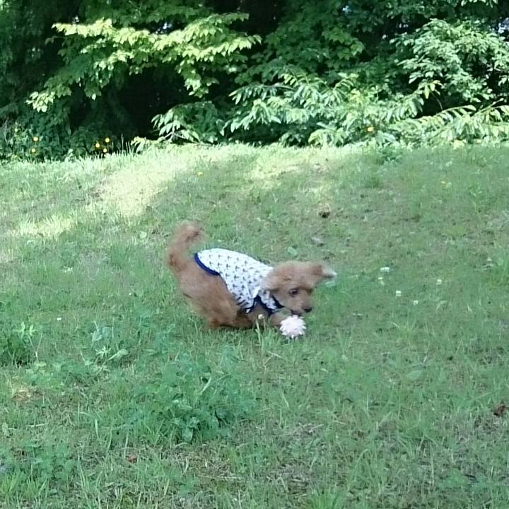 21a338e1 09e3 4d16 b455 c0c25d6f9796 1530584696062