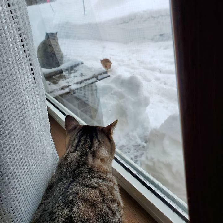 21a38b8d e870 40d5 ab34 9068bb7fd0f8 1706630703955