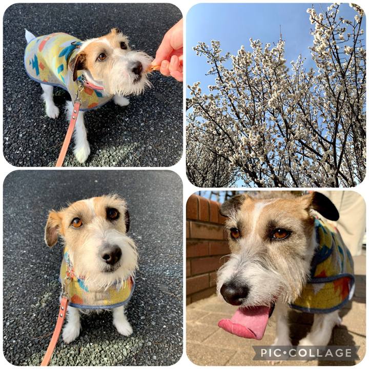 21a3ca1f 2111 4e55 84db 8ced940e4433 1676182130291