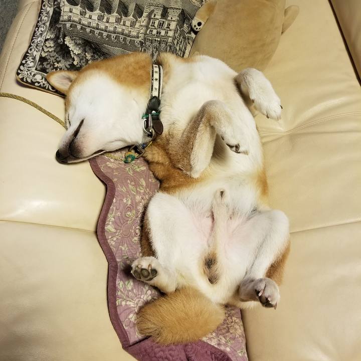 21a41fa7 340d 47b7 94cb cd2460eafd53 1599397299463