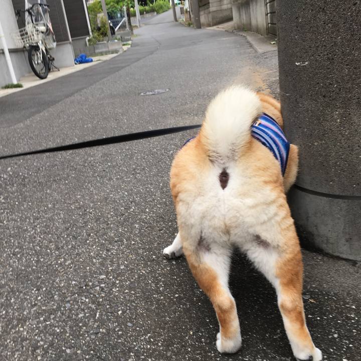 21a422f9 9fb9 4788 b936 fed80872dce0 1568337532086