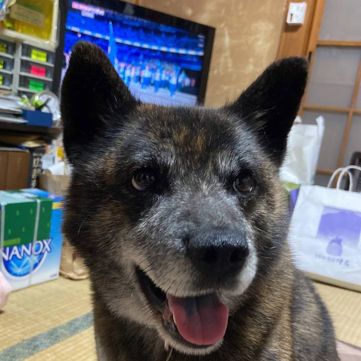 21a45e53 3eb6 4eb4 9ff3 b248e6997163 1627048655852