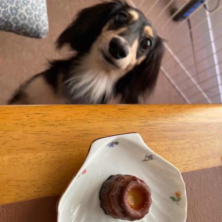 21a4ad17 10be 4063 9527 0475500fb8c8 1758585638817