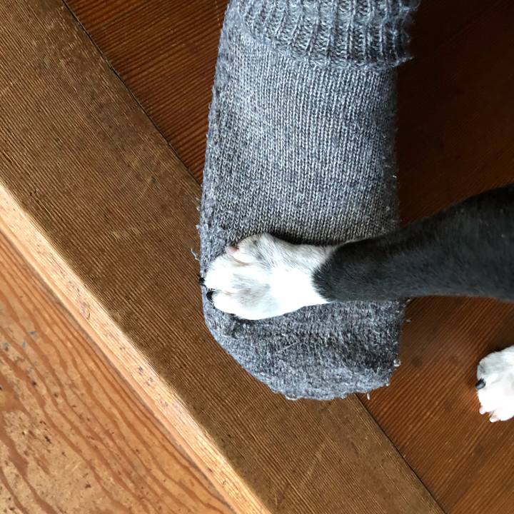 21a4af48 bb7f 4d49 a065 b42fe04c03ff 1639718710633