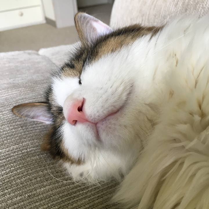 21a4c1f7 5e36 4eeb b50f 49bd14ec5602 1530936540000