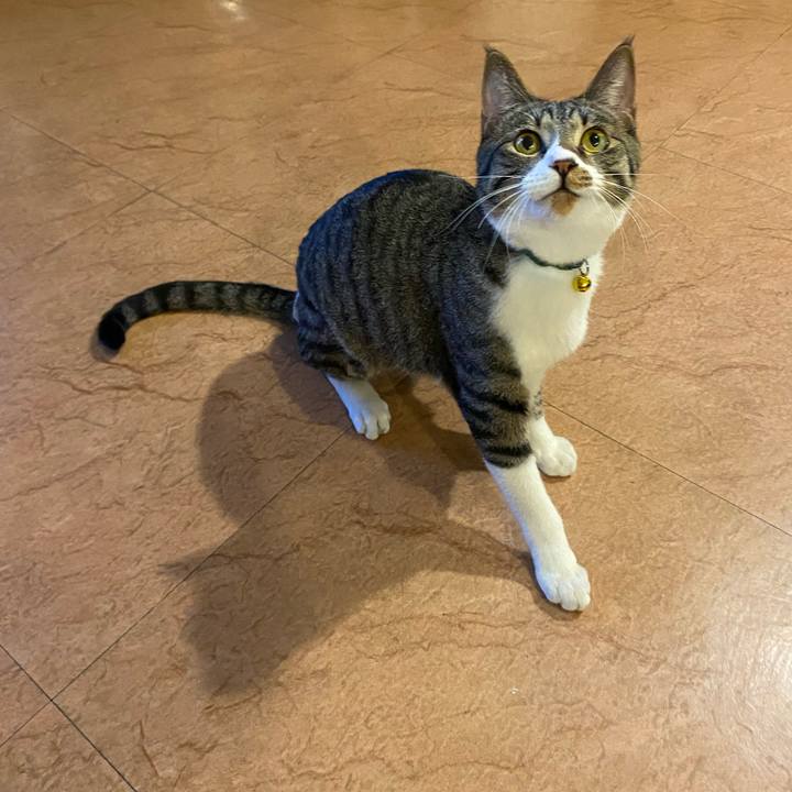 21a4c978 c091 4da5 85d4 f9a7ca903a56 1646558878644