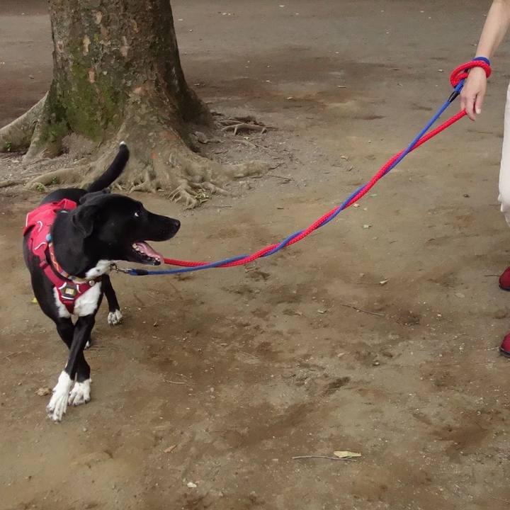 21a4dbd7 54c7 4e85 80cc 4d9af20c653d 1592477837393