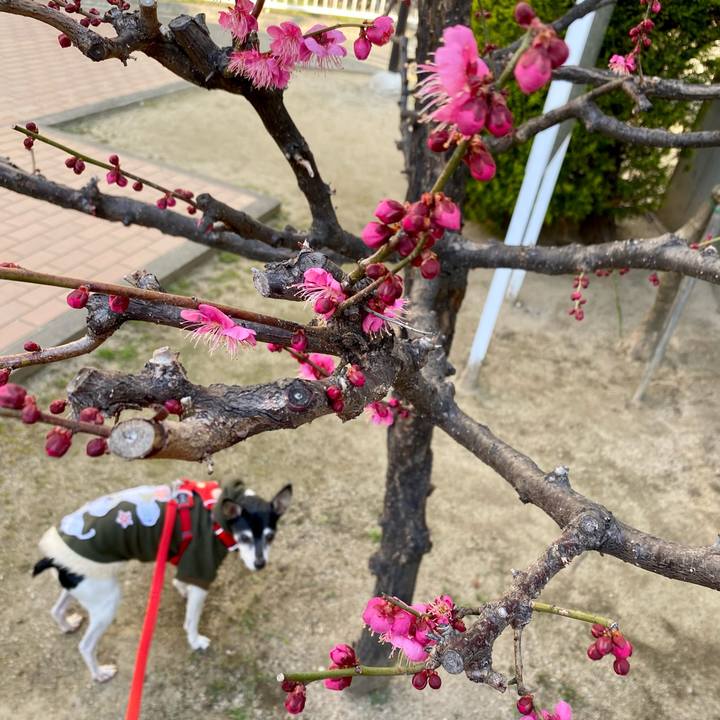 21a505d7 7e40 445c bde8 f4bb56b33a04 1612694359805