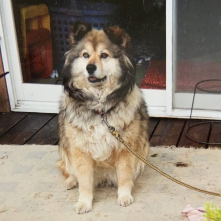 21a51a7e bfba 4b35 b009 60d7da6f57aa 1575217580309