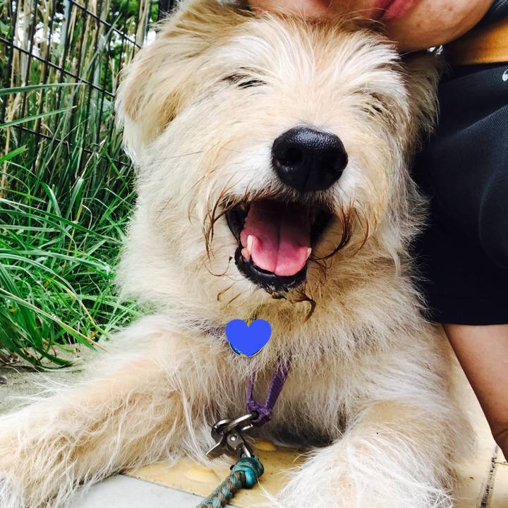 21a52947 743d 4932 829f 4dc221c861e1 1563226874456