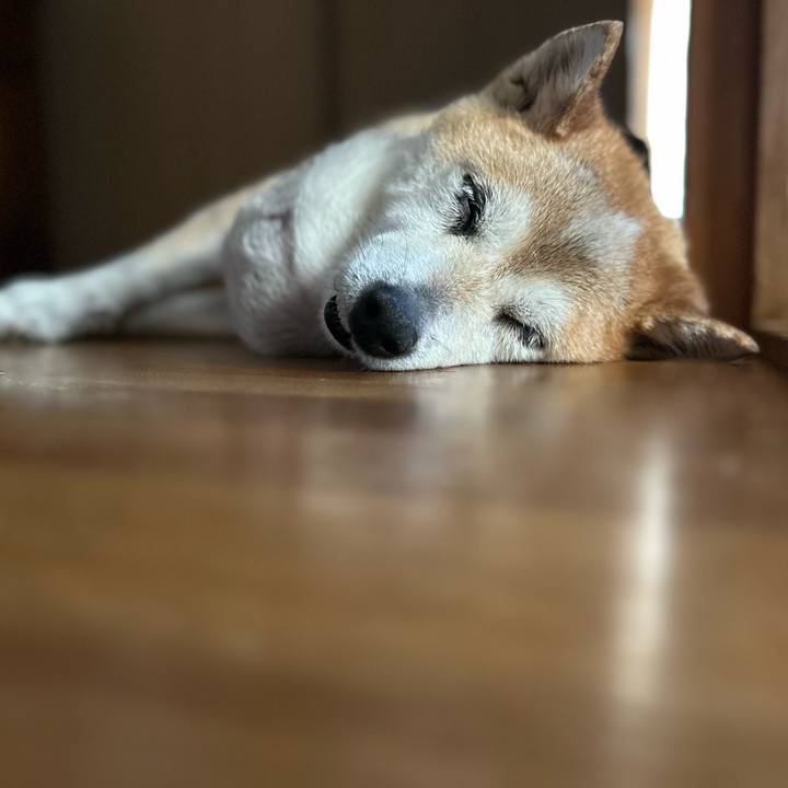 21a55348 0dd3 4c96 b2d5 b339e7e1c8e8 1756780515119