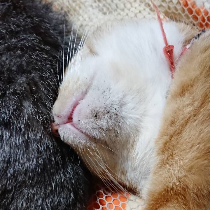 21a5d64d 7d1a 4c12 86b9 37feb9ca58ce 1571580441160