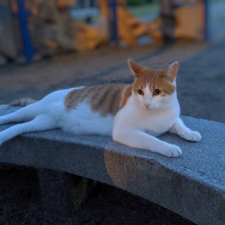 21a613db 938c 42c0 9197 0cd78488cc27 1561294122701