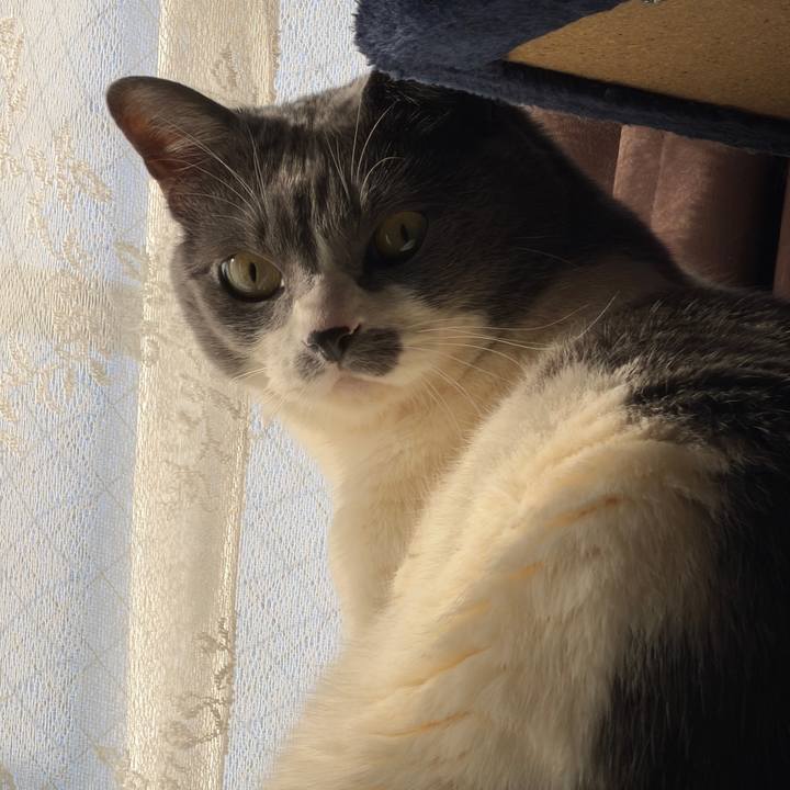 21a637d4 da1b 4391 9eb2 e8ff1a192ed7 1770680242991