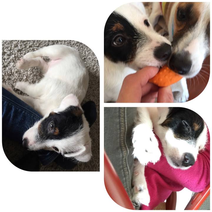 21a6386b e5b5 42c5 85bc d69101d7a10e 1612651754905