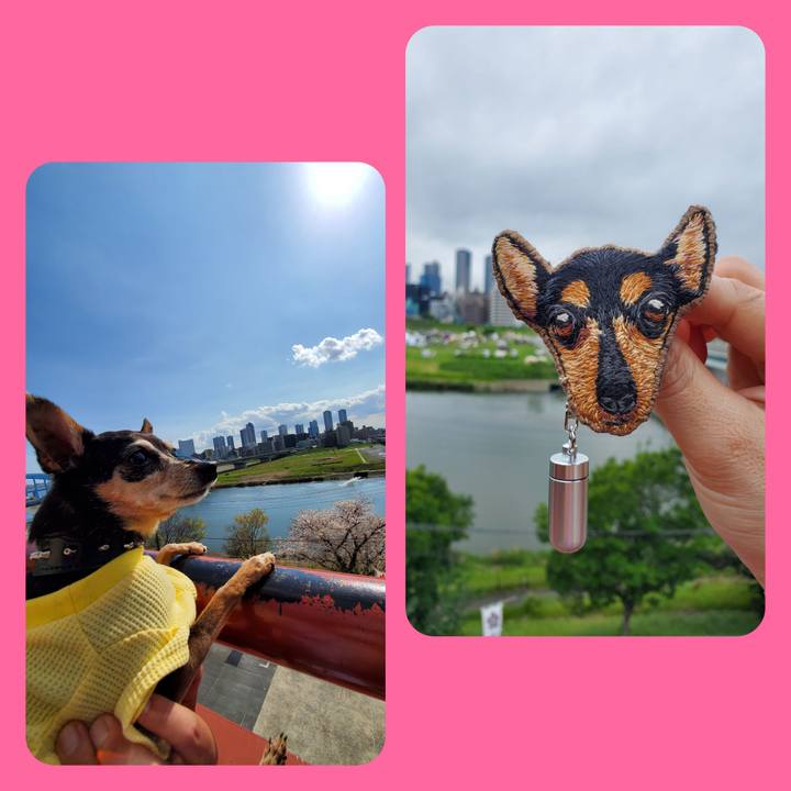 21a6883a 8ff8 4846 9ac8 ce143d273d83 1748180138966