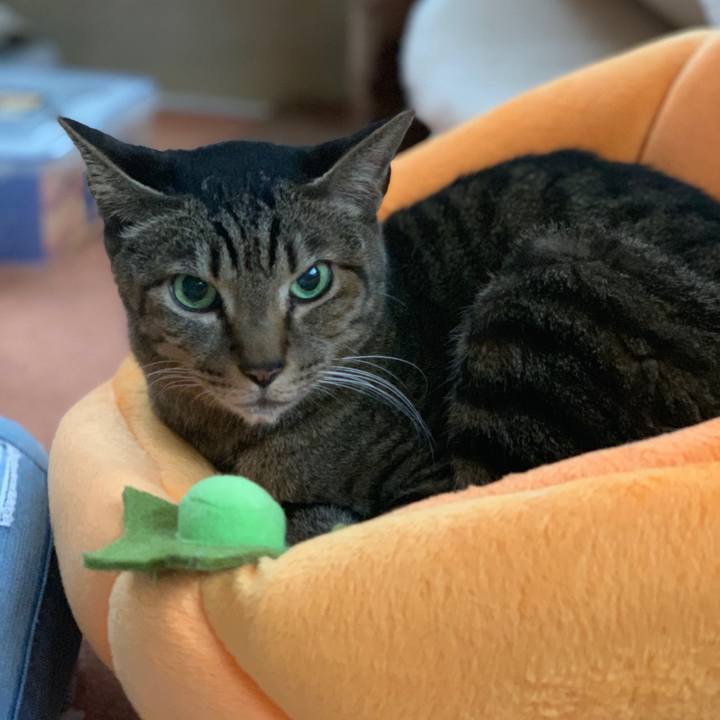 21a68d5c 4cba 4eae a2ce bb41ea5c446a 1547254572343