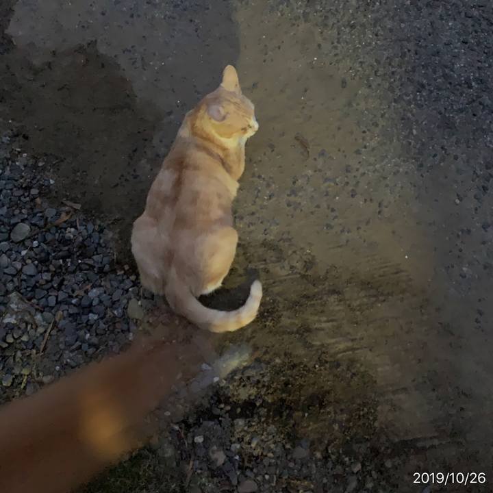 21a69acd 9af1 4d9e bb1f ca0ddbeba47a 1572084997784