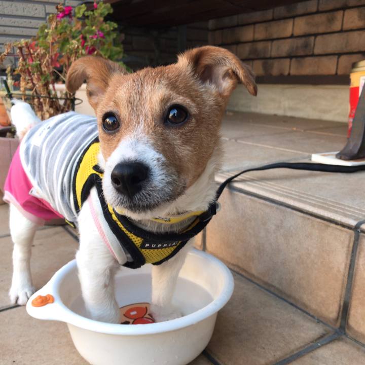 21a6b865 1214 40ef 92b6 66a883c9dbff 1551487741873