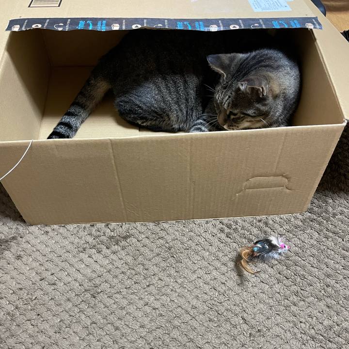 21a70135 0dd7 4d13 af3d 52404239603a 1632999252156