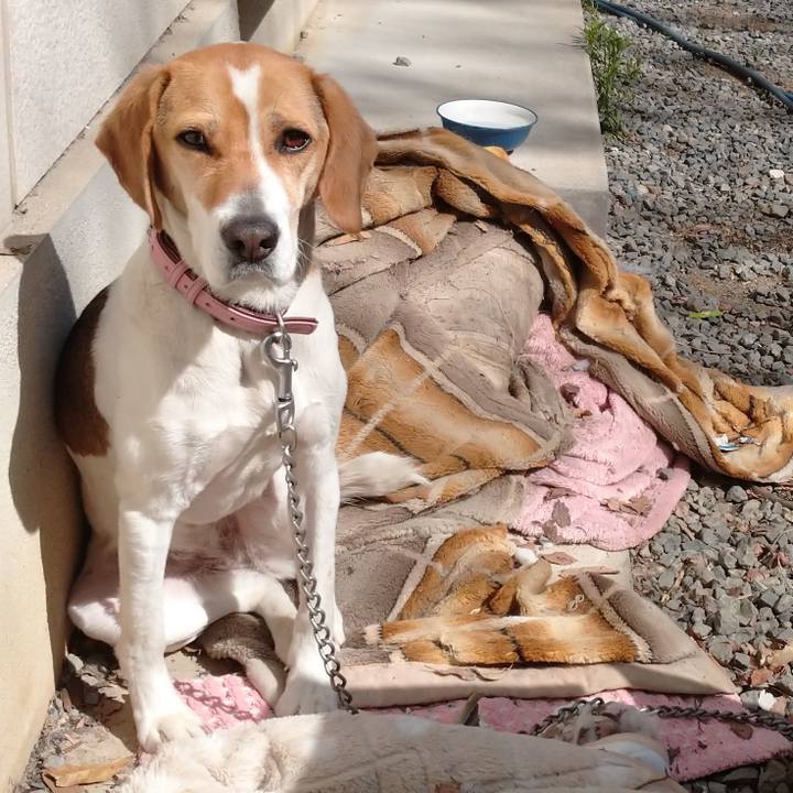 21a718cf d93d 4aef a270 4b7ad5d56145 1583462607696