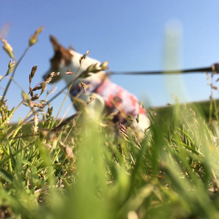 21a7359a 4a53 4eaa 8b18 983239675065 1619134674069