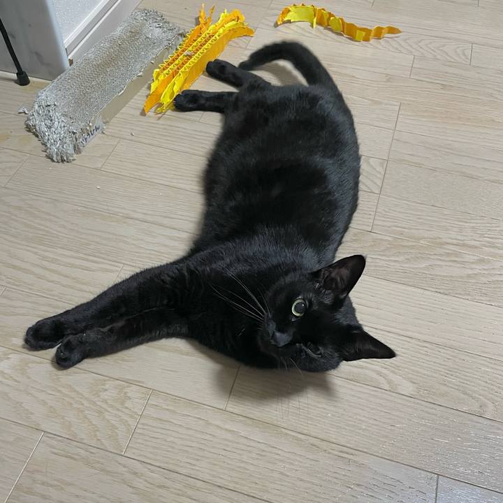 21a735d4 b842 4e13 a5fc 2a98c5b6b3a7 1715083993974