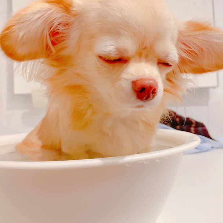 21a73652 69f7 4163 98f1 7da039d04176 1637983962603