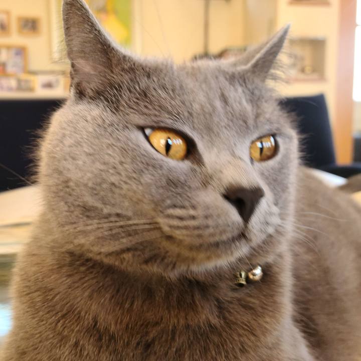 21a75088 c882 421e a2d7 9d07c01dc940 1628129957286