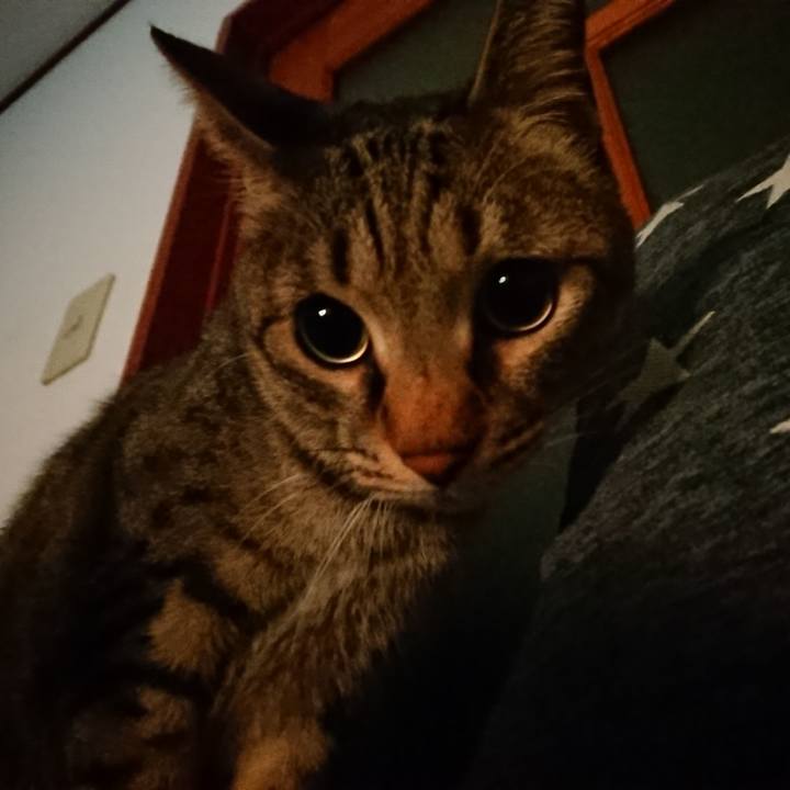 21a75793 e1dd 418f b5b0 8770064fcc4b 1577264445999