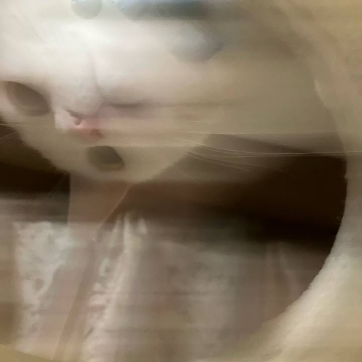 21a76e6b 7a2b 47a7 a0b6 a74e6bd8a204 1639965008899