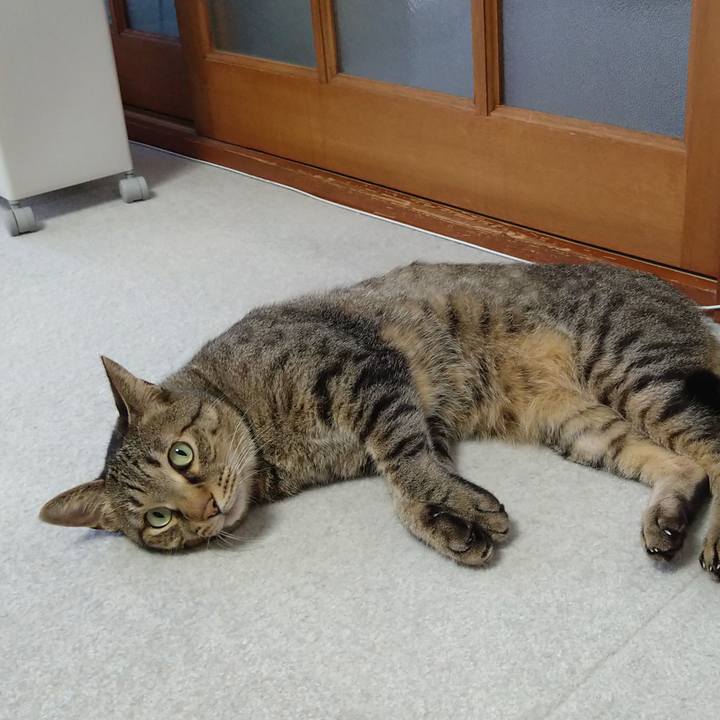 21a77b5d fe64 4790 9b30 71751b05e15f 1627464368469