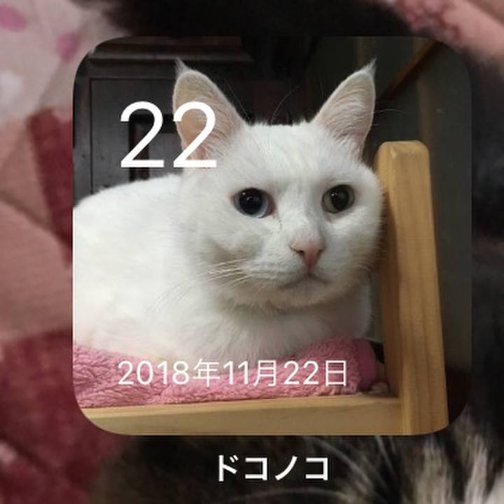 21a7dd6a 36da 466c b860 afa91c4bd1cf 1637589242266