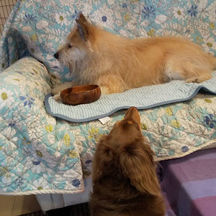 21a857fc 69bb 4b11 8d33 9f6797373191 1559865530552