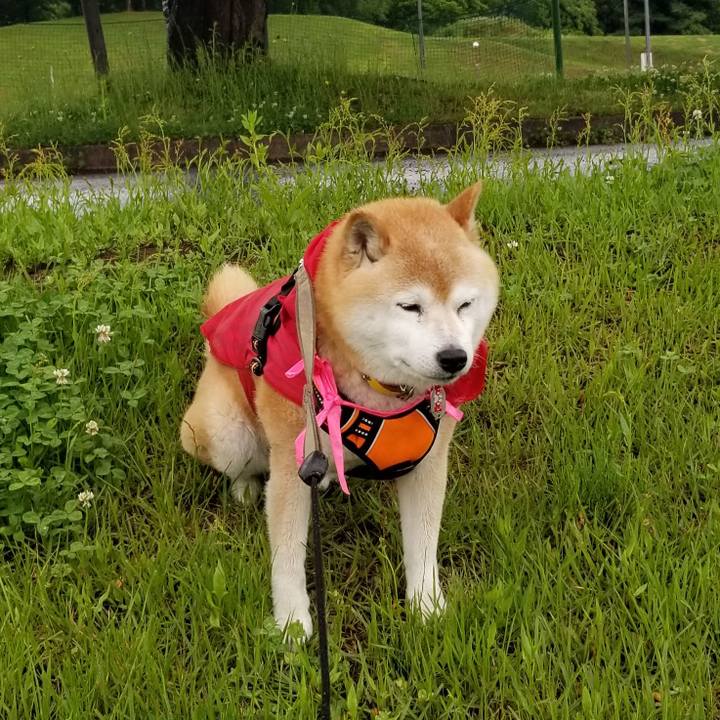 21a86edc 3a68 4734 8c08 83a8dfe86ac2 1685690256593