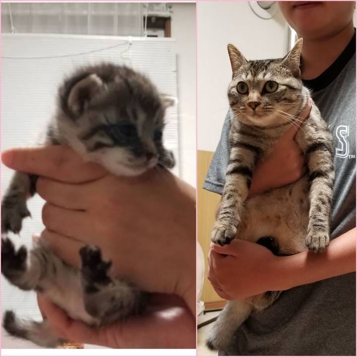 21a89571 6cb0 40c3 b145 0fa62f94ba43 1690981569086