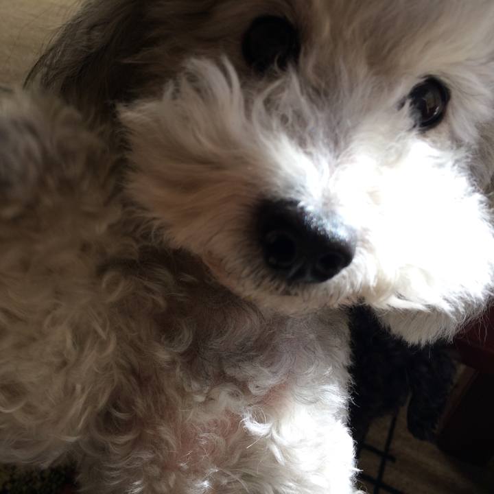 21a8a0b5 b9a2 4786 bbaa 74252d3efd20 1511610883940