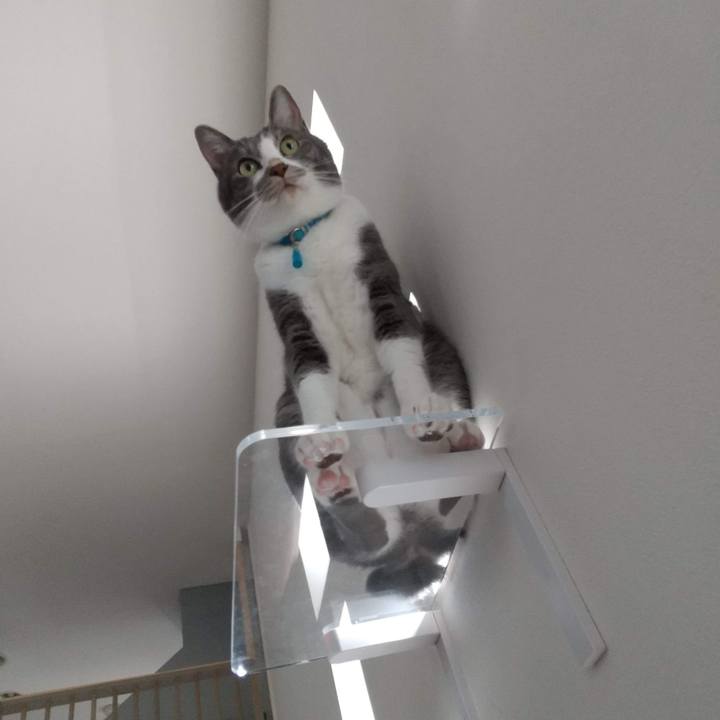 21a8a2b4 c2ba 47f6 80b0 ade7725e04dd 1629589722611