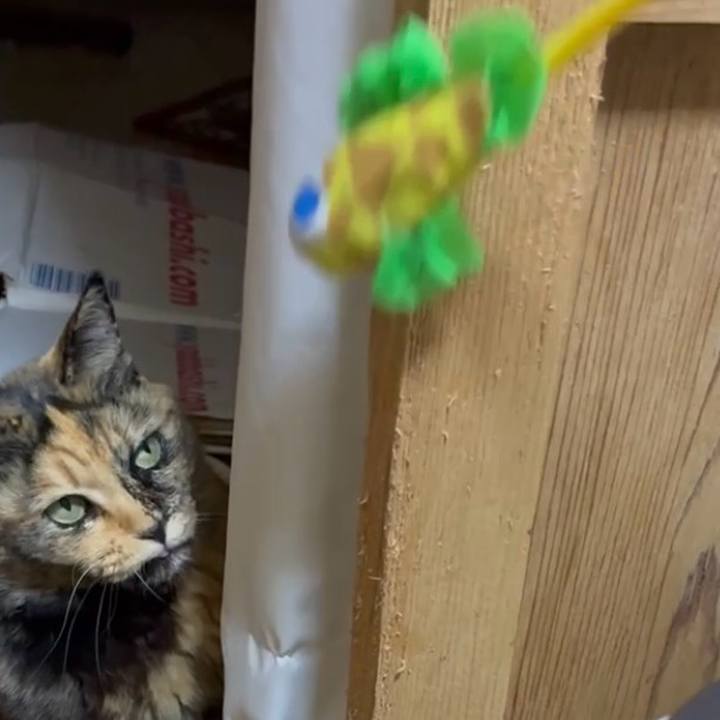 21a8dee2 34d7 4030 a615 46a30c25cafc 1765051795101